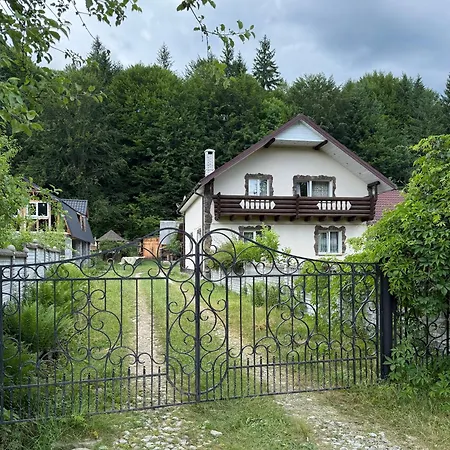 у панька Guta